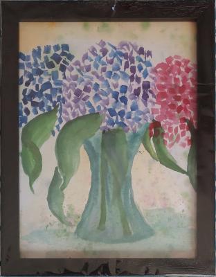 Hydrangeas - Watercolour painting by child artist Anagha Venkate